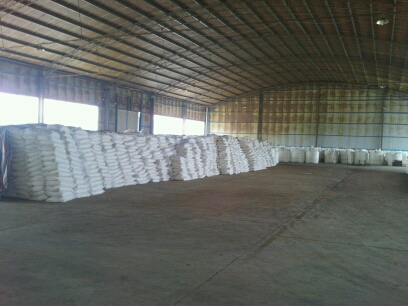 �۱�ϩ�����S�҂}��